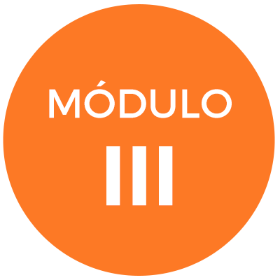 Módulo III